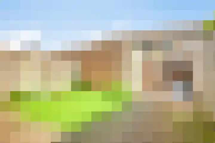 De Beekse Tuin 24 Nuenen thumbnail 25