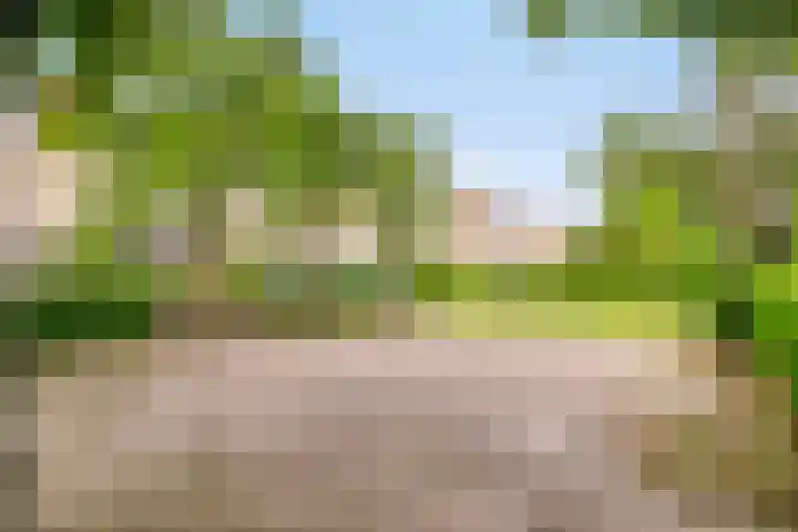 De Beekse Tuin 24 Nuenen thumbnail 28