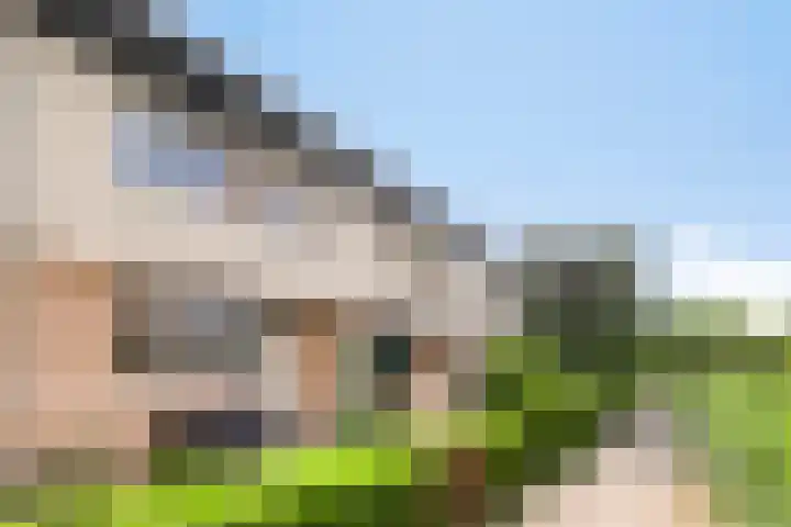 De Beekse Tuin 24 Nuenen thumbnail 29