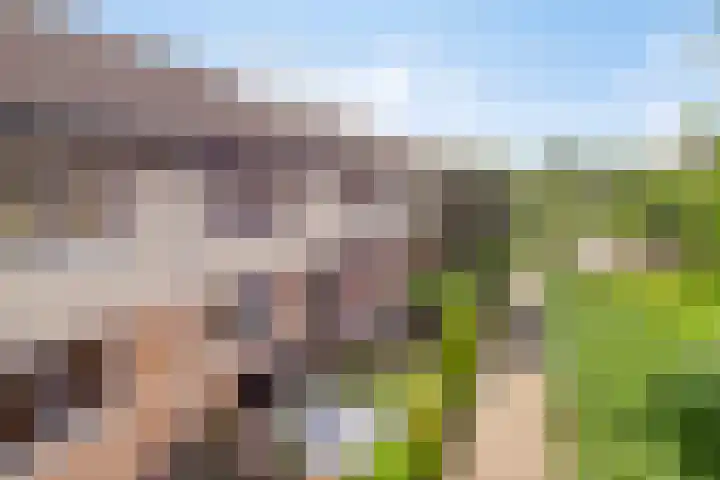 De Beekse Tuin 24 Nuenen thumbnail 30