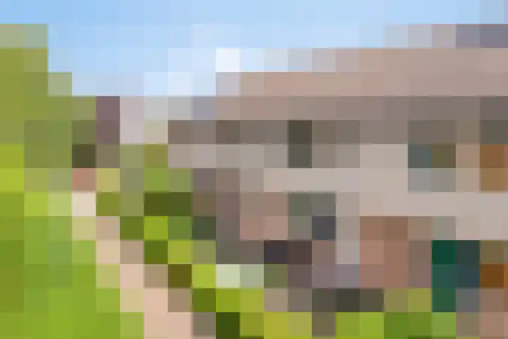 De Beekse Tuin 24 Nuenen thumbnail 31