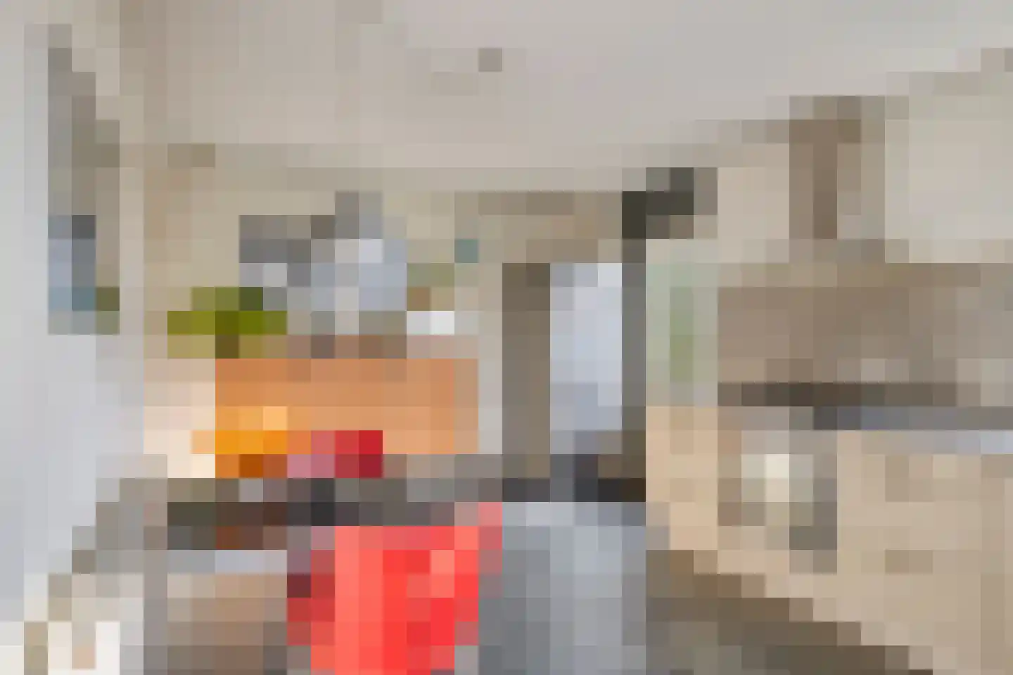 De Beekse Tuin 33 Nuenen thumbnail 17