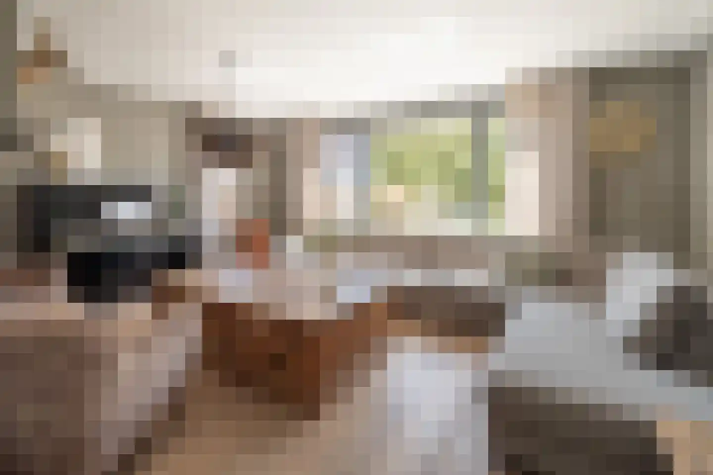 De Beemd 12 Barneveld foto 2
