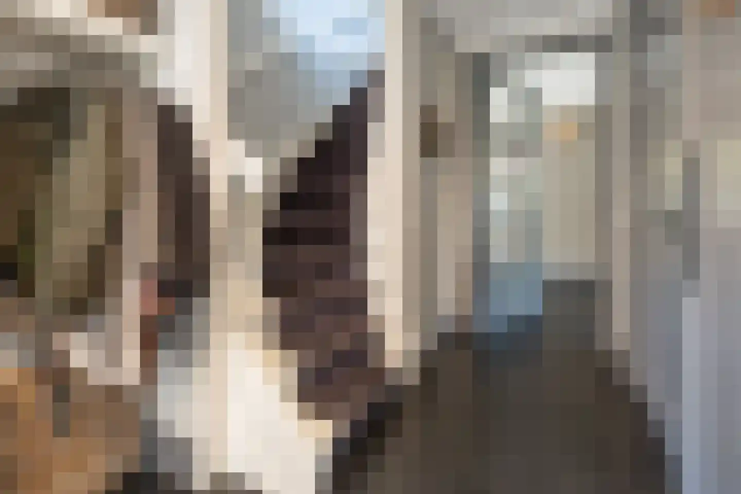 De Beemd 12 Barneveld thumbnail 21