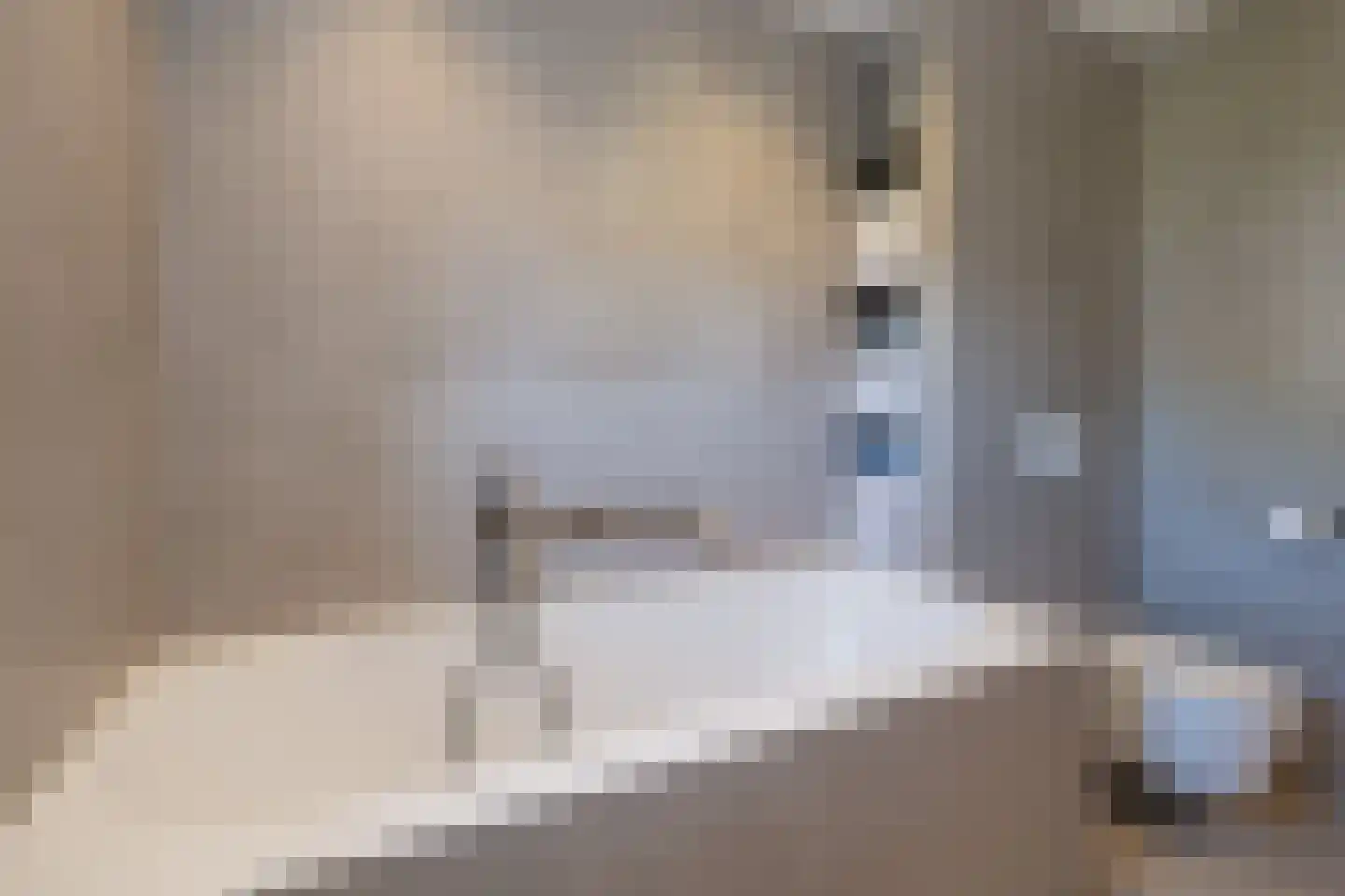 De Beemd 12 Barneveld thumbnail 31