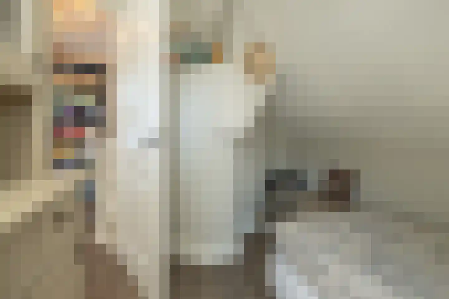De Beemd 12 Barneveld thumbnail 34