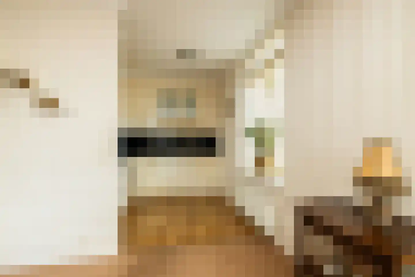 De Beemd 2 Wateringen thumbnail 13