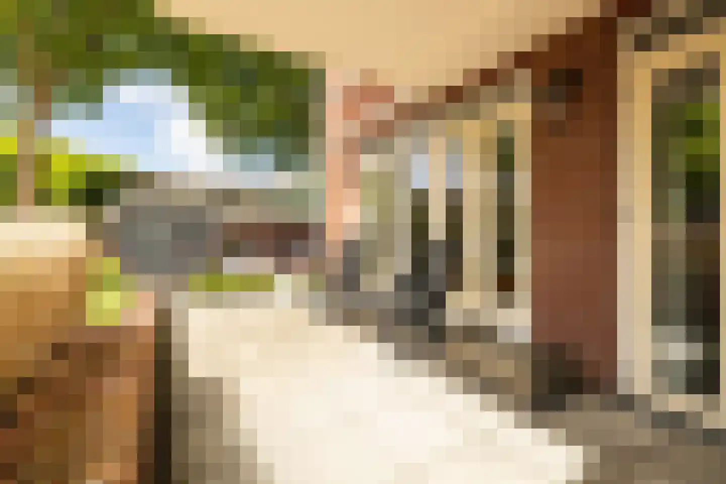 De Beemd 2 Wateringen thumbnail 29