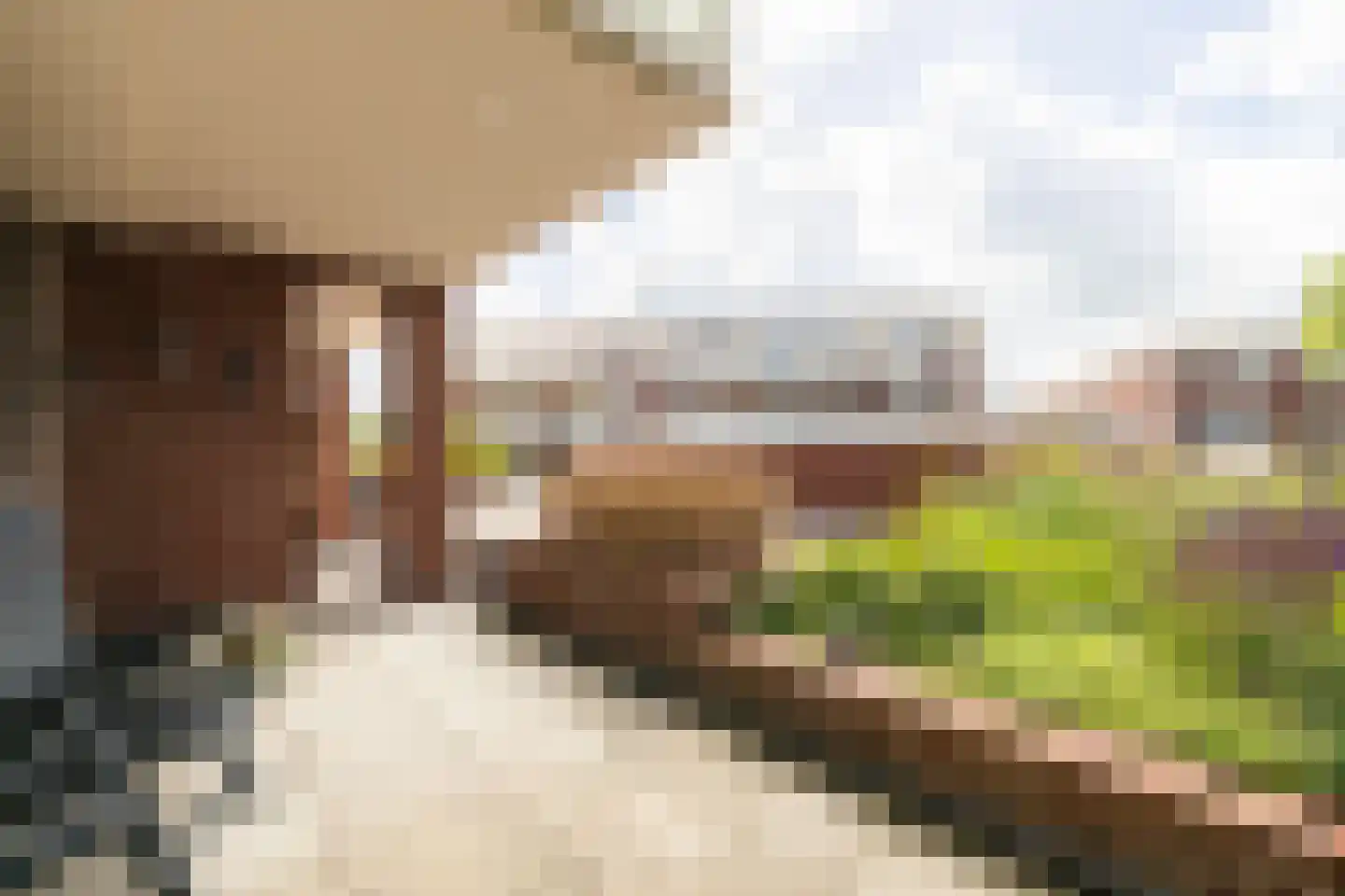 De Beemd 2 Wateringen thumbnail 31