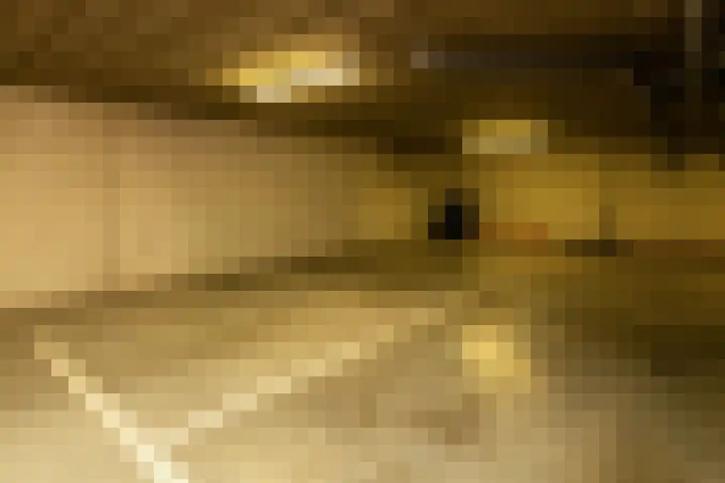 De Beemd 2 Wateringen thumbnail 32