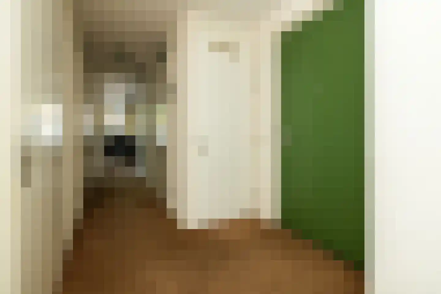 De Beemd 2 Wateringen thumbnail 8