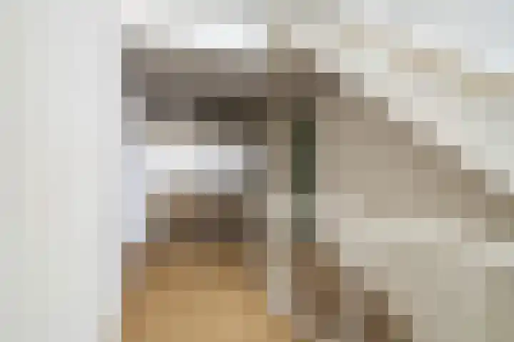 De Beemd 20 Wateringen thumbnail 15