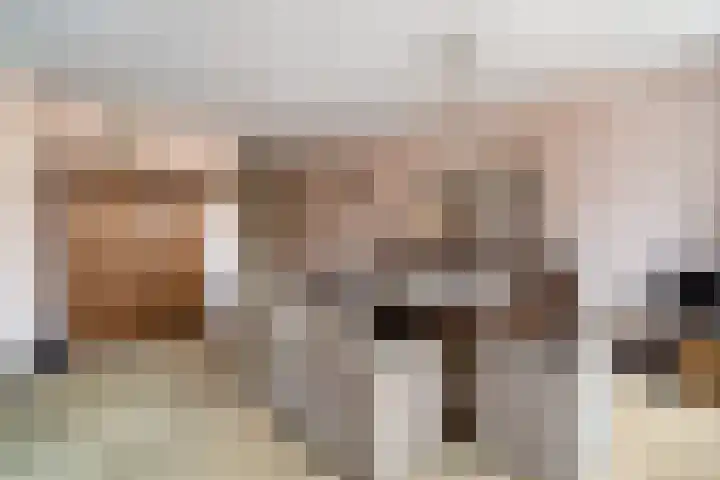 De Beemd 20 Wateringen thumbnail 31