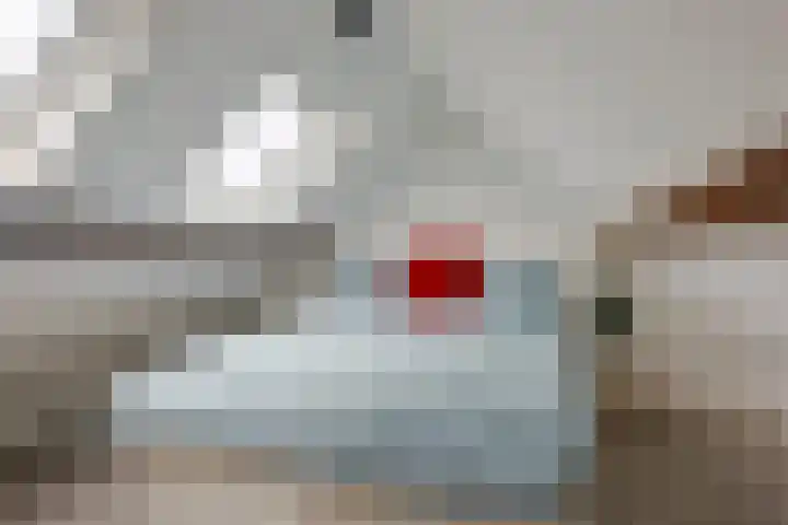 De Beemd 20 Wateringen thumbnail 34