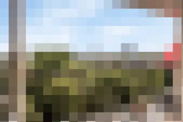 De Beemd 20 Wateringen thumbnail 55
