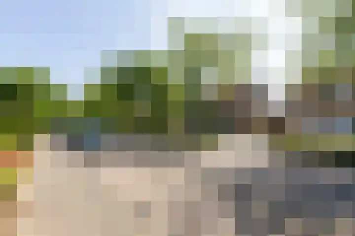 De Beemd 27 Zevenaar thumbnail 10