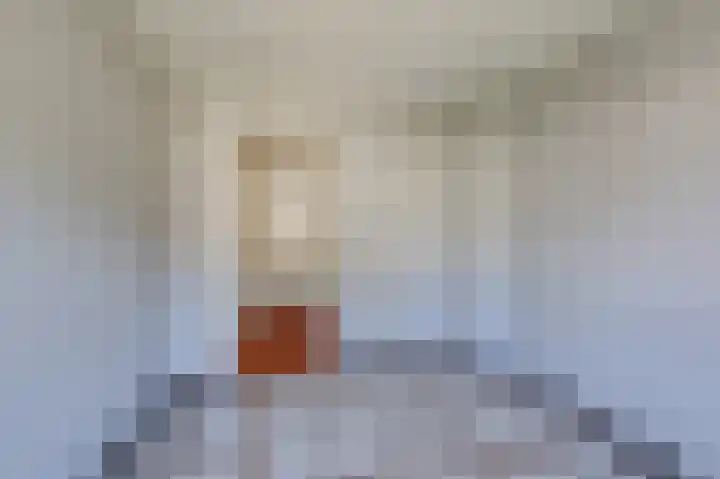 De Beemd 27 Zevenaar thumbnail 36