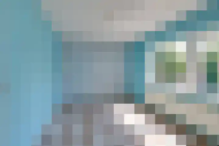 De Beemd 27 Zevenaar thumbnail 37