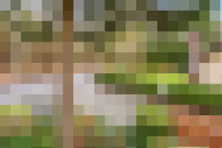 De Beemd 27 Zevenaar thumbnail 5