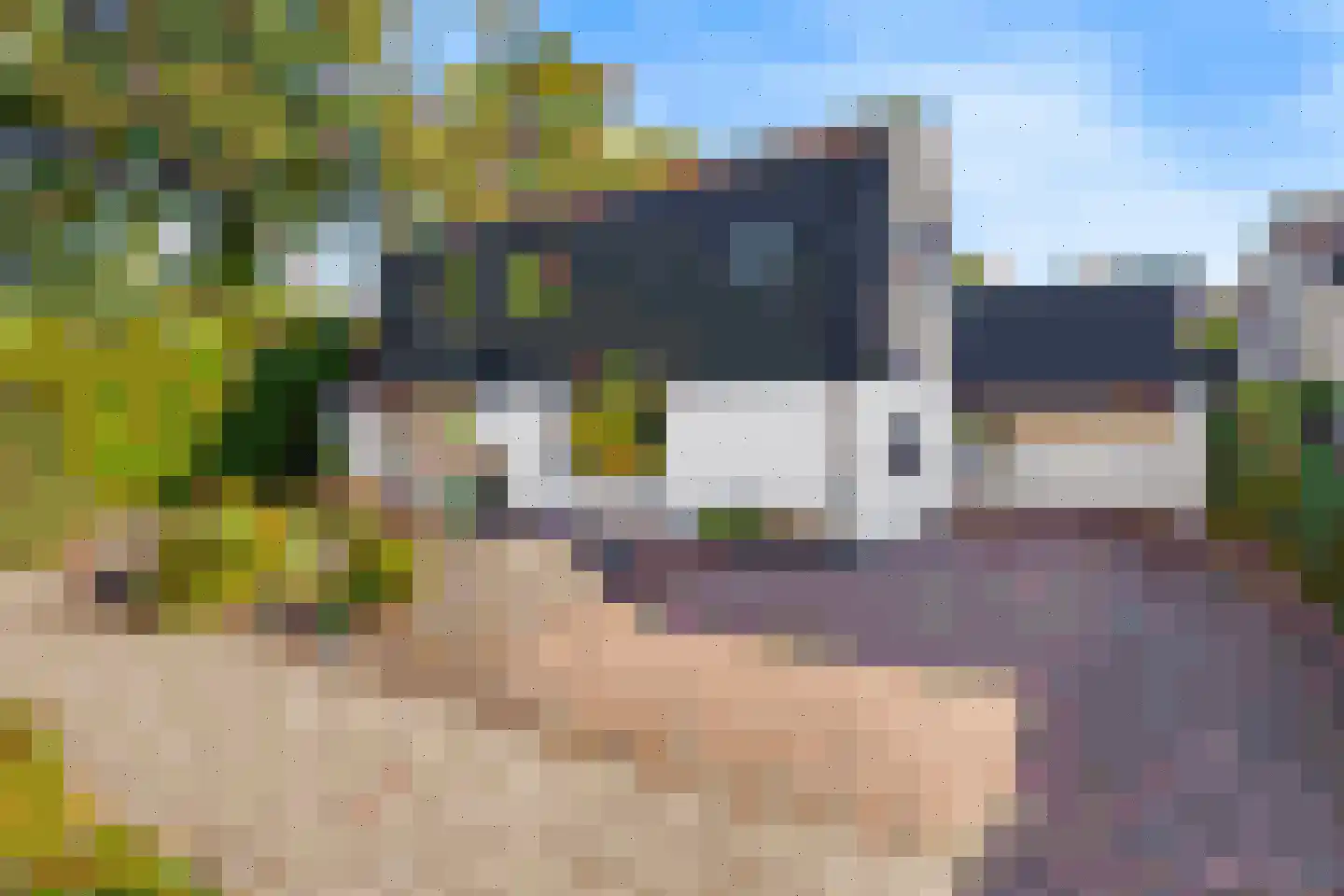 De Beemd 36 Zevenaar thumbnail 11