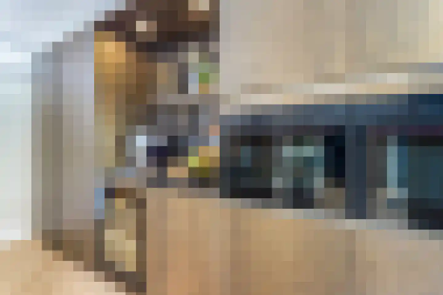 De Beemd 36 Zevenaar thumbnail 20