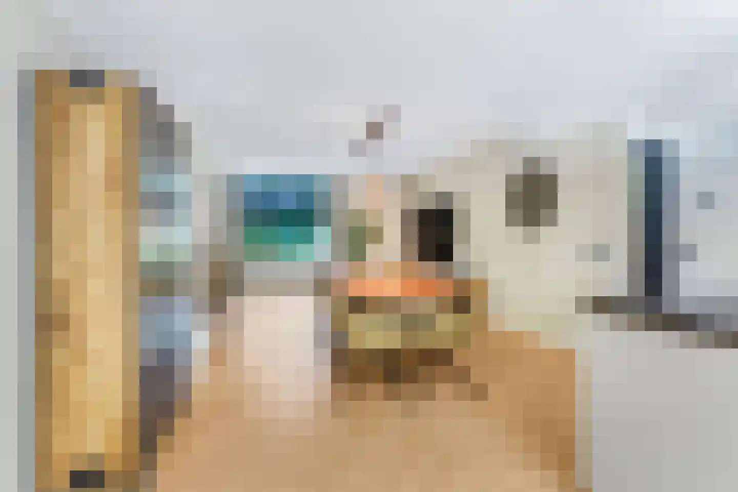 De Beemd 36 Zevenaar thumbnail 23