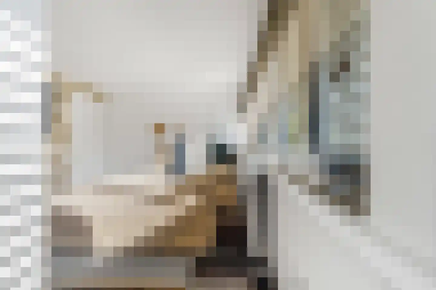 De Beemd 36 Zevenaar thumbnail 51