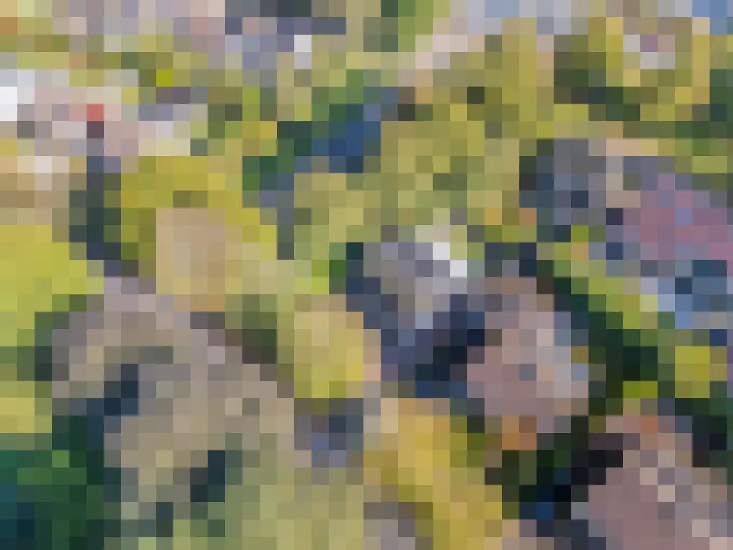 De Beemd 36 Zevenaar thumbnail 69