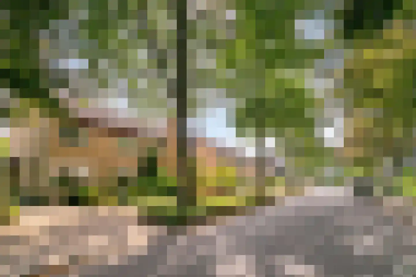 De Beemd 42 Veldhoven thumbnail 35