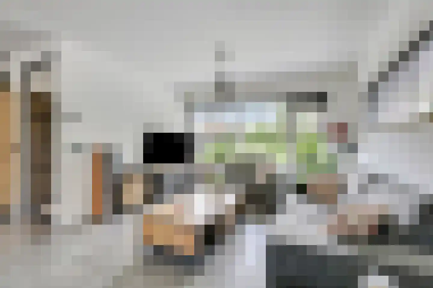 De Beemd 52 Zevenaar thumbnail 18