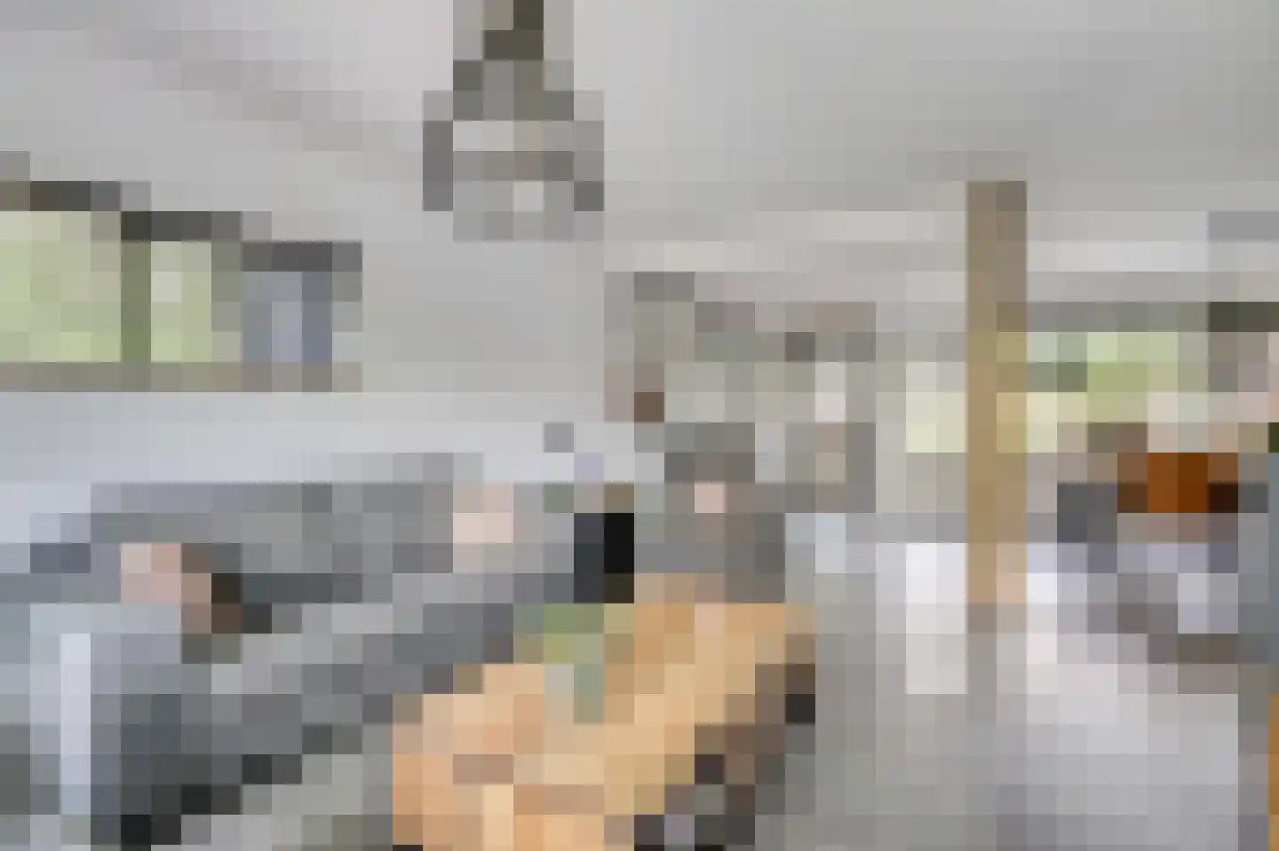 De Beemd 52 Zevenaar thumbnail 19