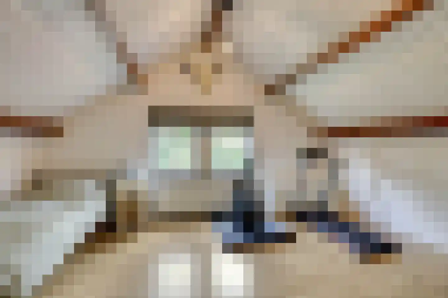 De Beemd 52 Zevenaar thumbnail 31