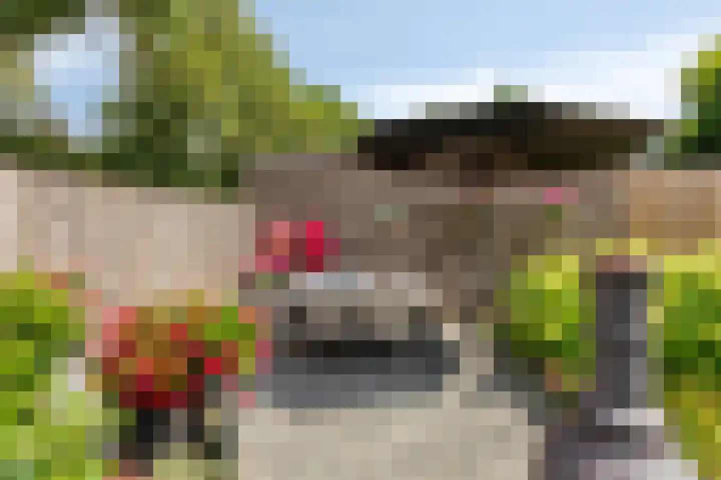 De Beemd 52 Zevenaar thumbnail 36