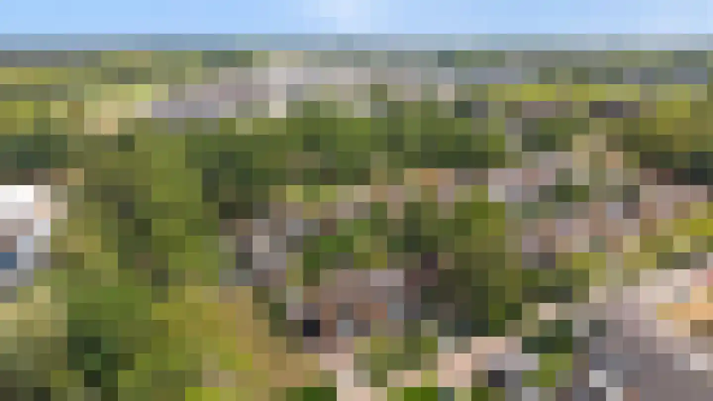 De Beemd 52 Zevenaar thumbnail 8