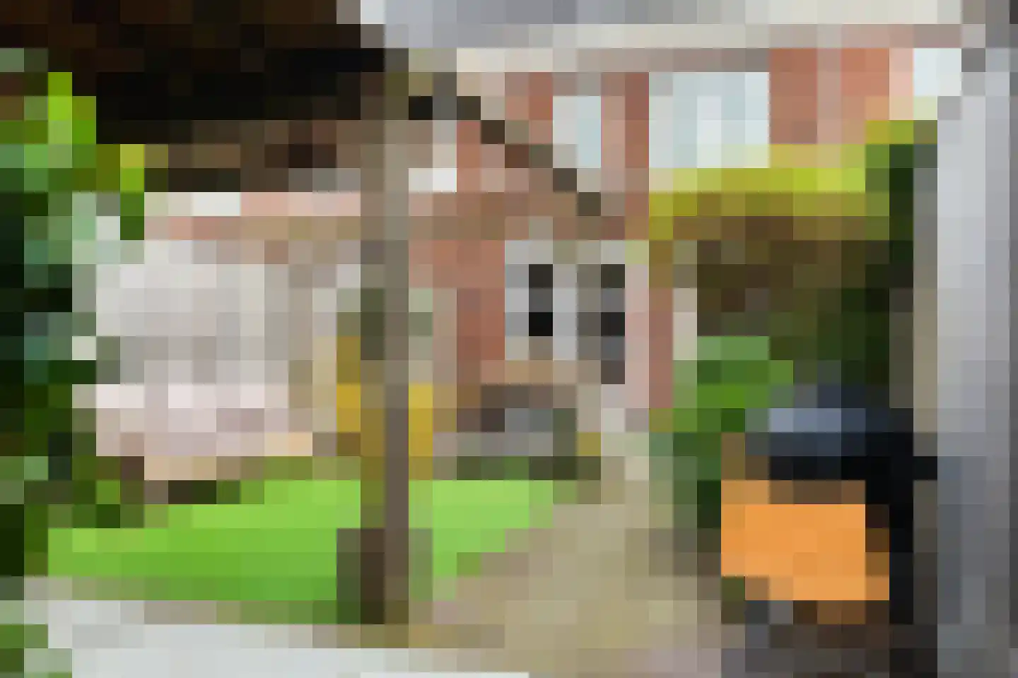De Beemd 61 Zevenaar thumbnail 13