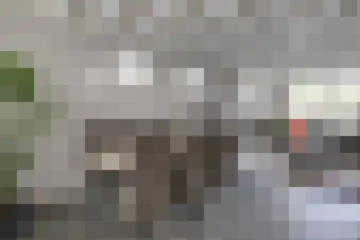 De Beemd 61 Zevenaar thumbnail 18