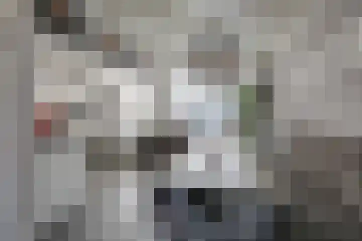 De Beemd 61 Zevenaar thumbnail 23