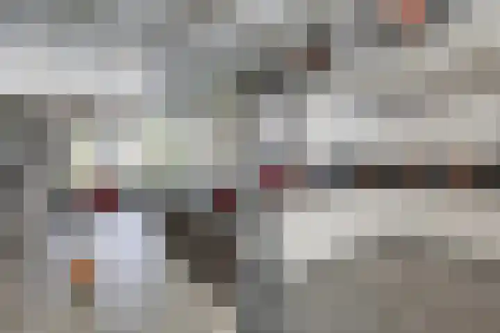 De Beemd 61 Zevenaar thumbnail 24