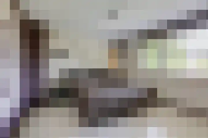 De Beemd 61 Zevenaar thumbnail 30