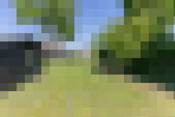 De Beemd 61 Zevenaar thumbnail 37