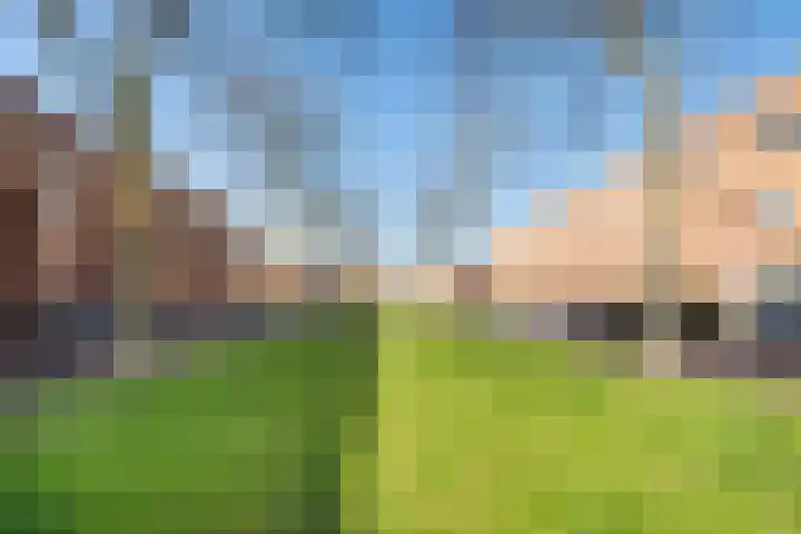 De Beemd 61 Zevenaar thumbnail 41