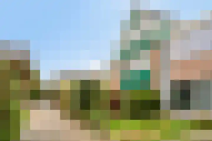 De Beemd 61 Zevenaar thumbnail 42