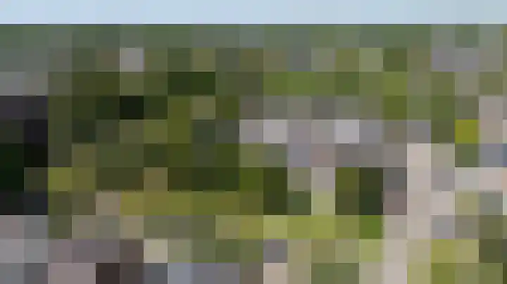 De Beemd 61 Zevenaar thumbnail 7