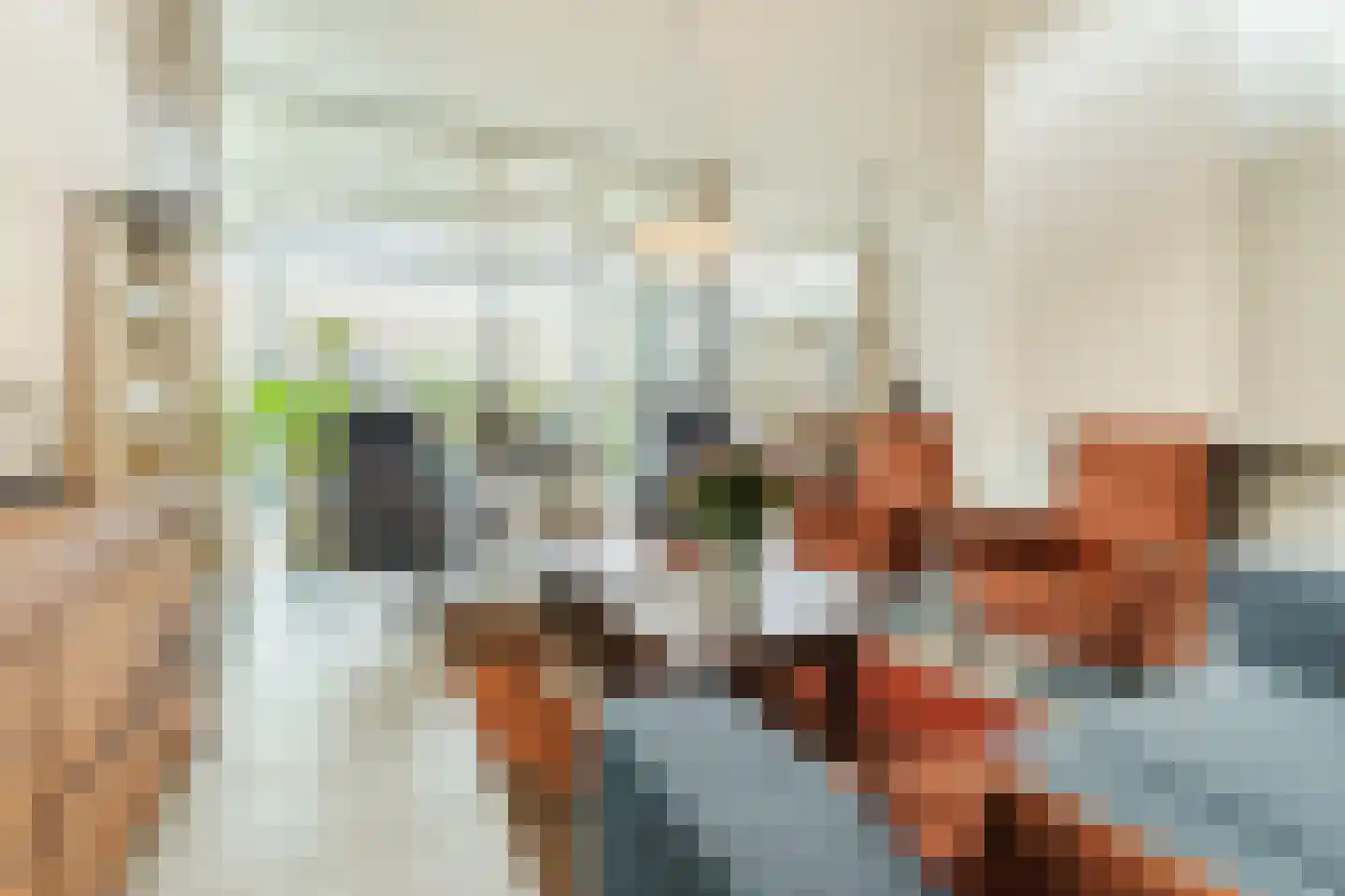 de Beemden 9 Heeze thumbnail 16
