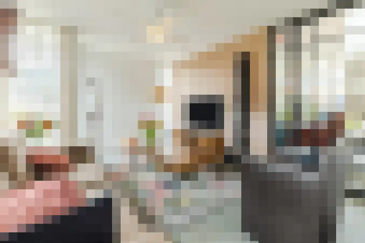 de Beemden 9 Heeze thumbnail 18