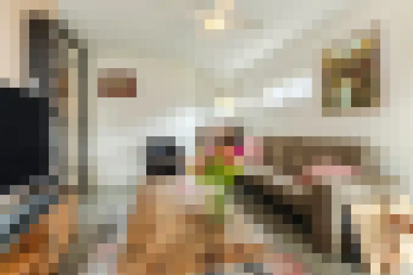 de Beemden 9 Heeze thumbnail 20