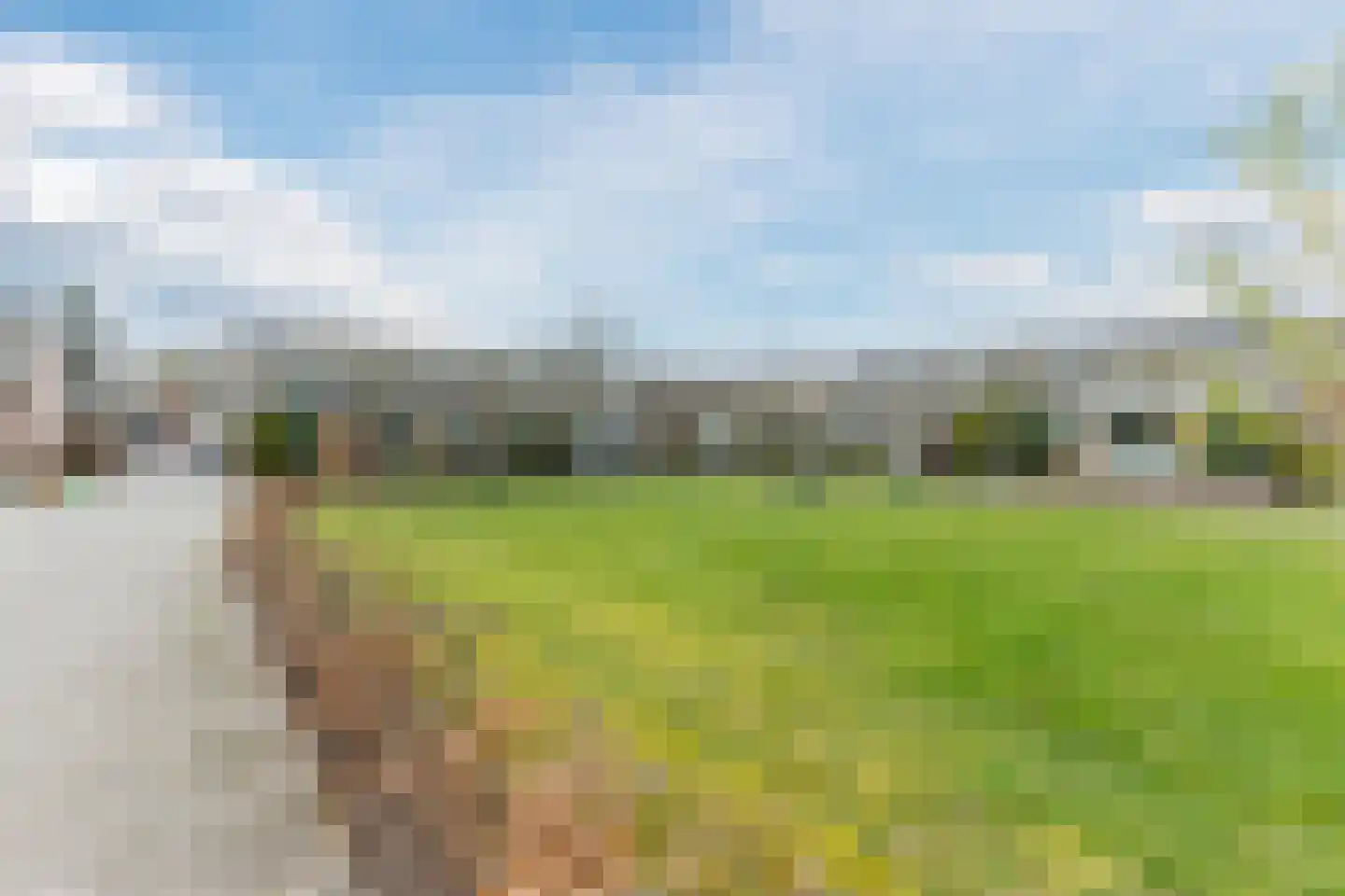 de Beemden 9 Heeze thumbnail 44