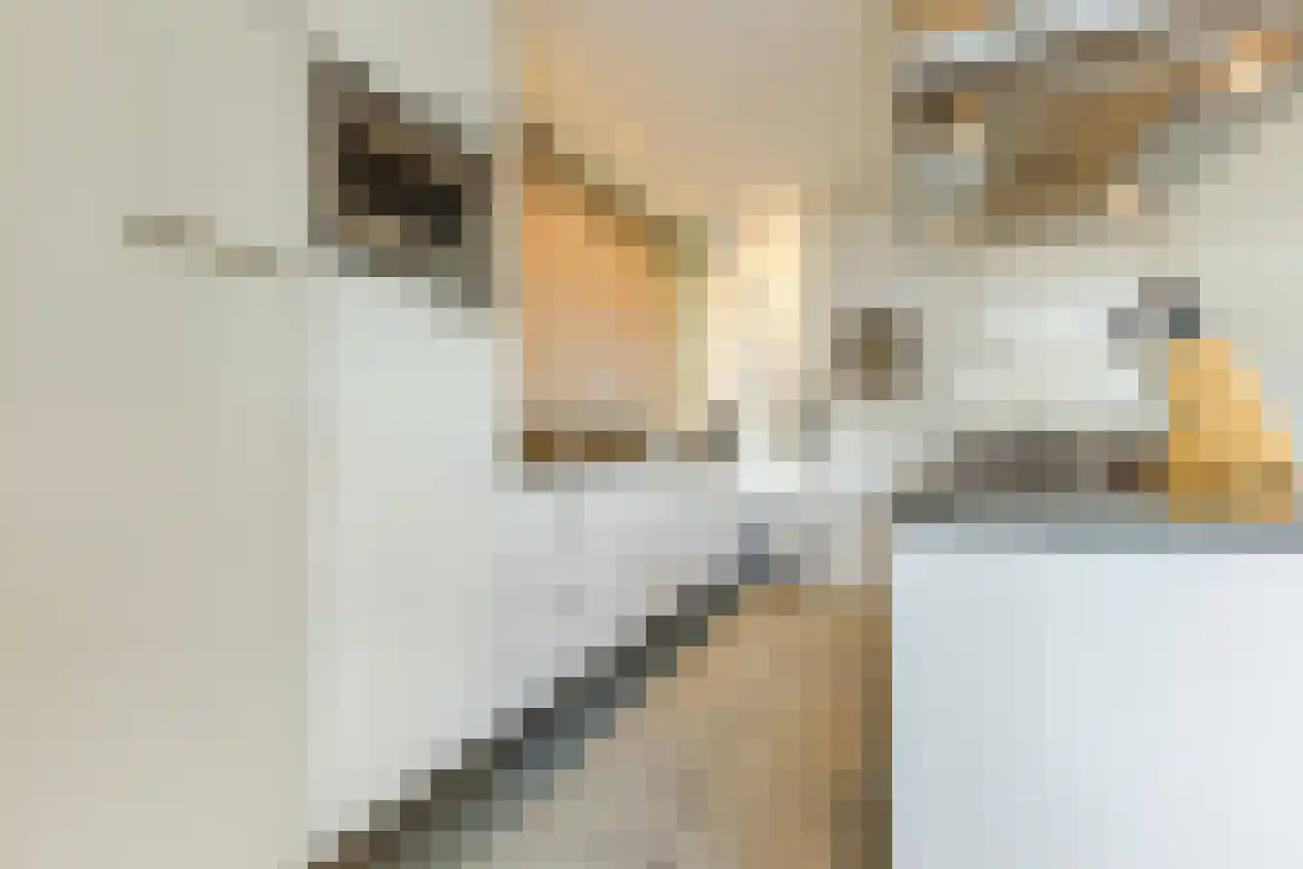 de Beemden 9 Heeze thumbnail 5
