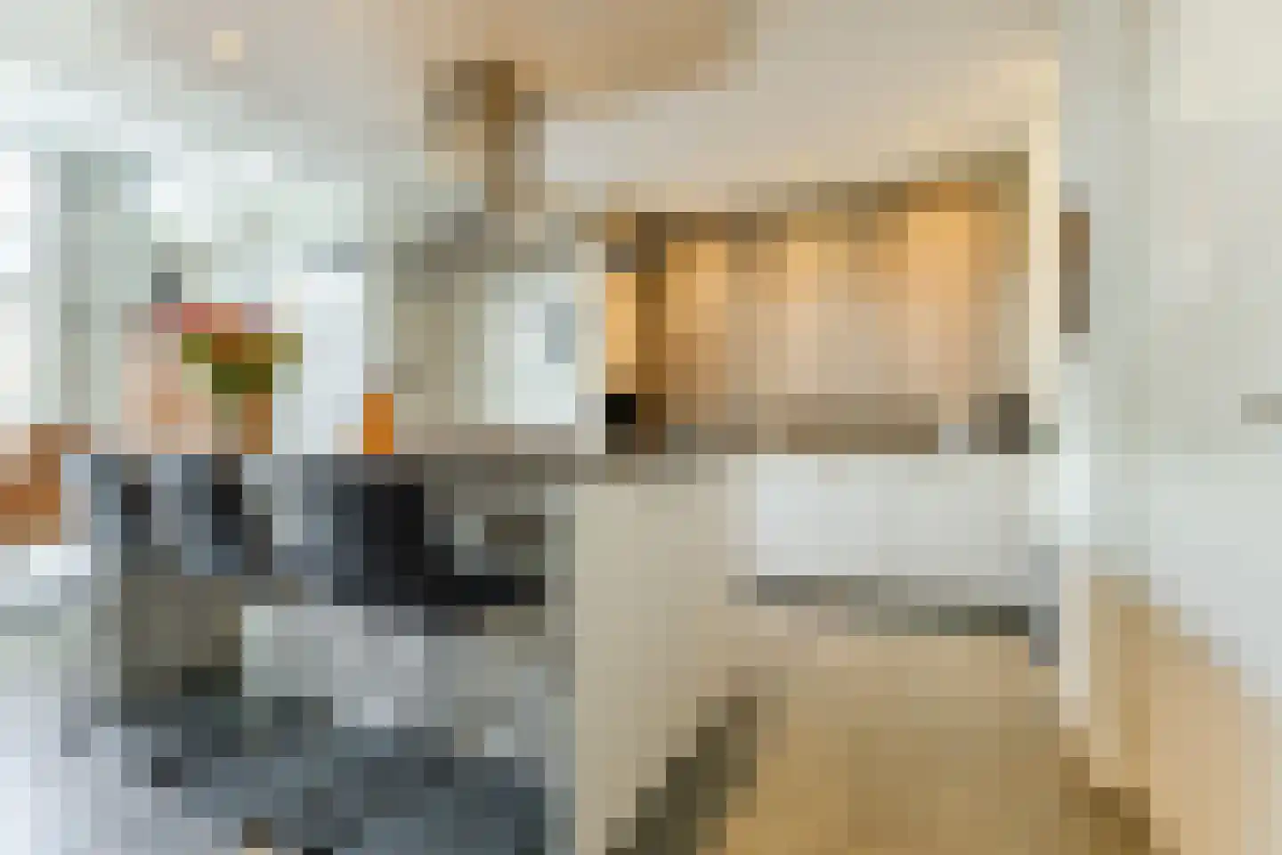 de Beemden 9 Heeze thumbnail 7