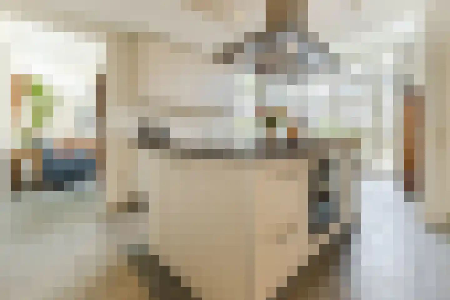 de Beemden 9 Heeze thumbnail 8